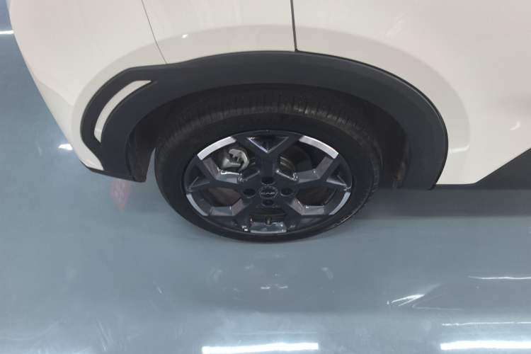 Used BYD Seagull 2025 305 km Free Version