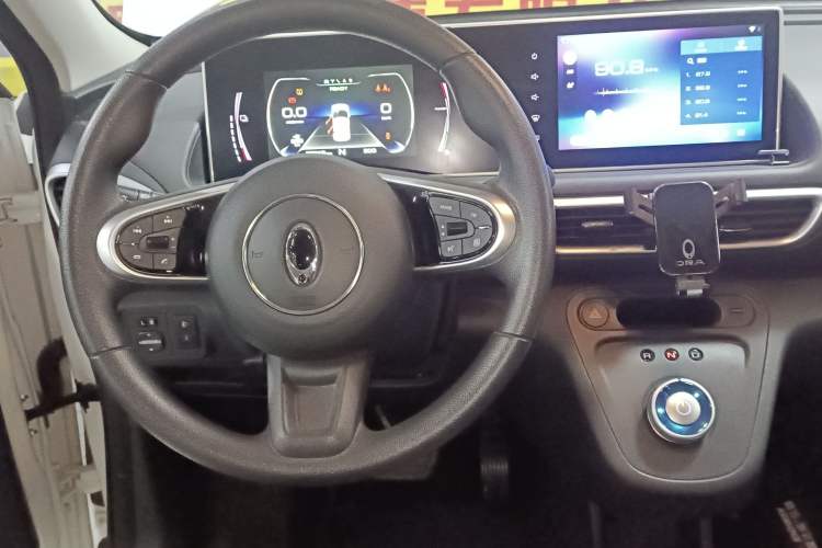 Used ORA White Cat 2020 360 km Luxury Version
