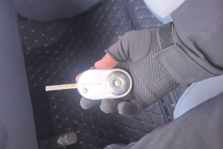 Used Bestune Pony 2024 170km Vitality Horse