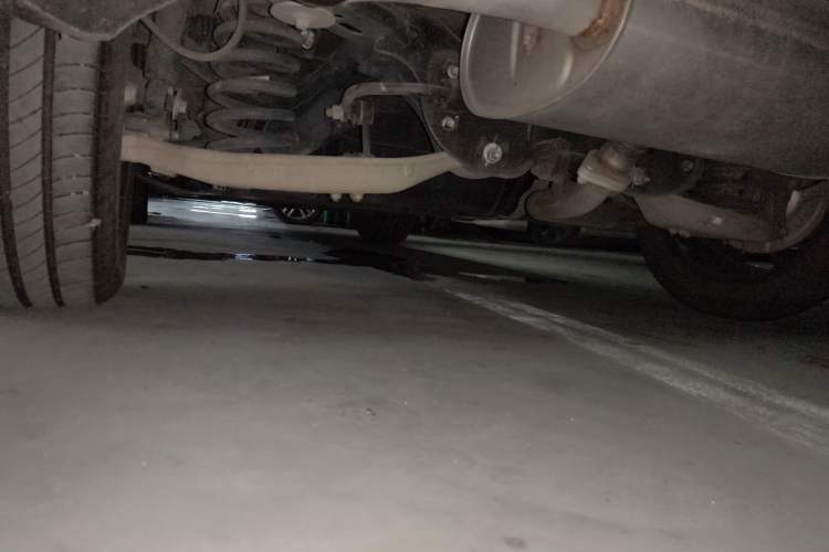 Used Wey Latte DHT-PHEV 2022 1.5T Two-Wheel Drive Big Cup
