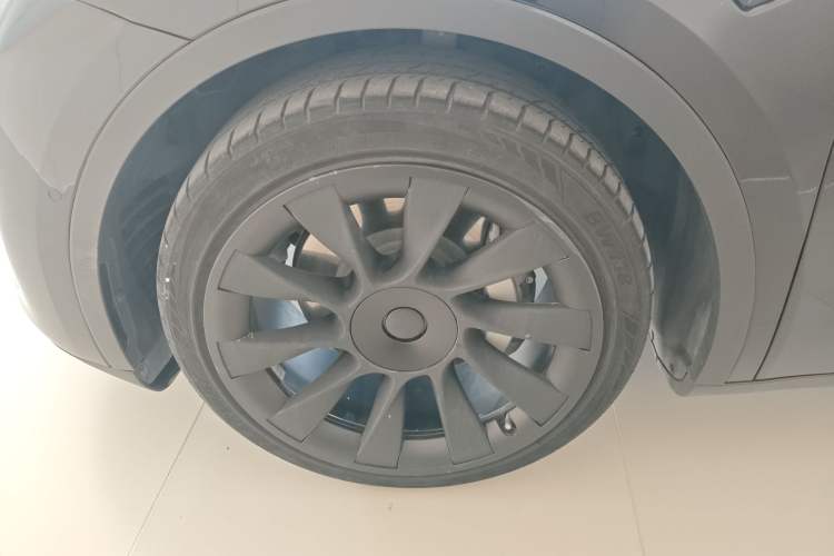 Used Tesla Model Y 2021 Standard Range Rear-Wheel Drive Version
