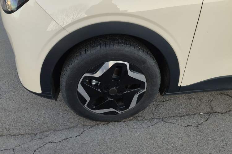 Used  Geome 2025 310km Youth Edition
