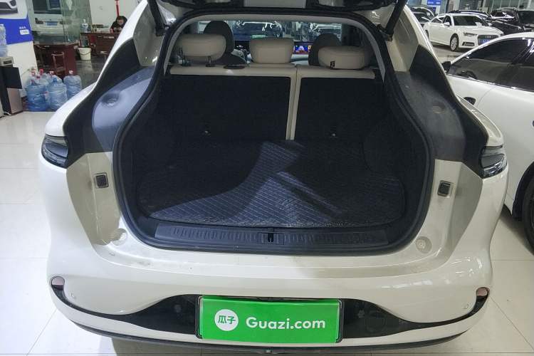 Used IM LS6 2023 Max Standard Edition
