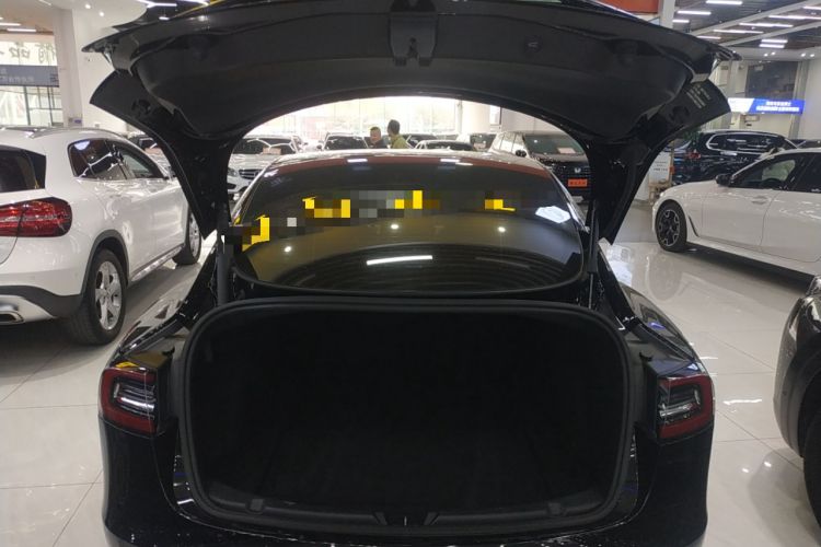 Used Tesla Model 3 2021 Standard Range Rear-Wheel Drive Upgraded Version 3D6
