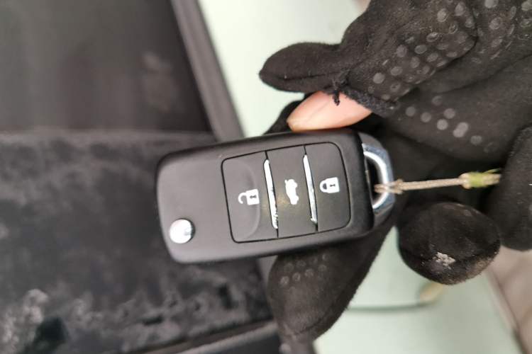 Used  Lumin 2024 130km Qingyue Version
