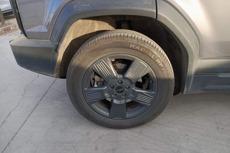 Used  03 2024 501km Two-Wheel Drive Long-Range Version
