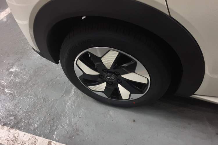 Used BYD Dolphin 2025 420km Free Edition
