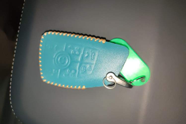 Used Buick Century 2023 2.0T Four-Seat Private Edition