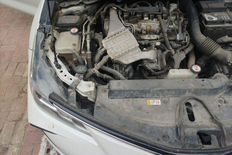 Used Toyota Corolla 2021 1.2T S-CVT Luxury Edition
