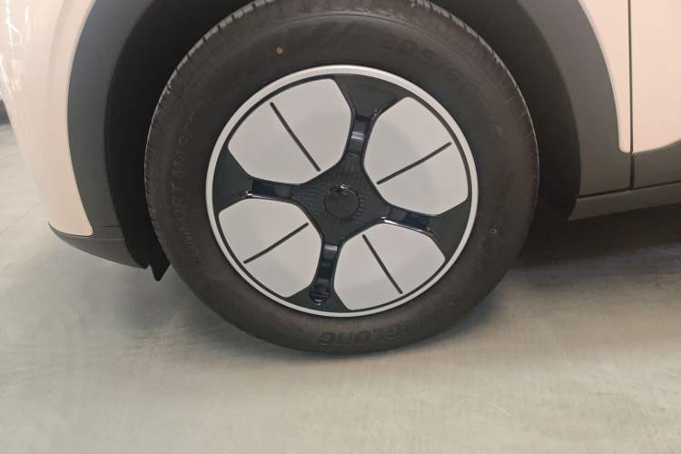 Used  Geome 2025 310km Youth Edition
