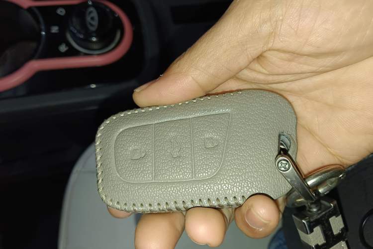 Used Chery Little Ant 2022 300 000 Yuan "Ant Fan" Edition "Extra Sweet" Version Lithium Iron Phosphate 29.2 kWh 30 kW 301 km
