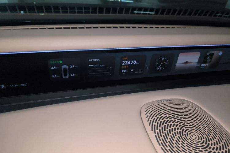 Used  07 2024 Max Pure Electric Edition
