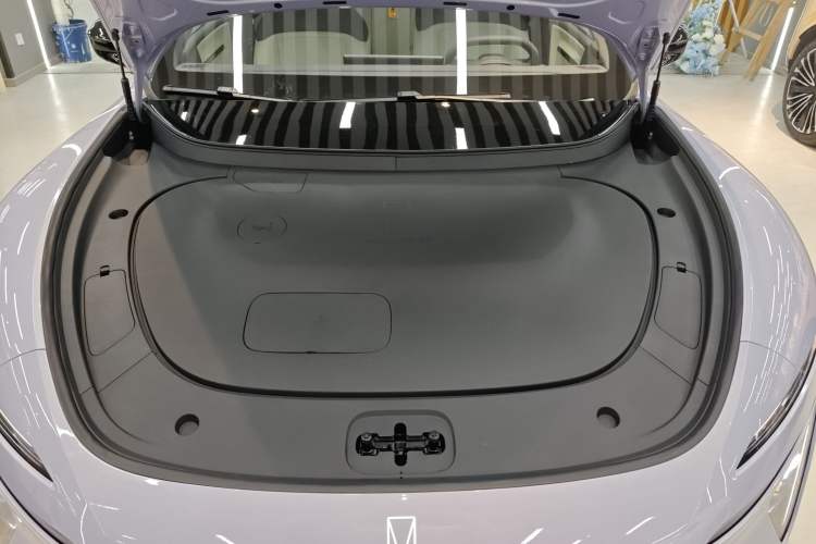 Used  06 2025 Max Extended-Range Edition
