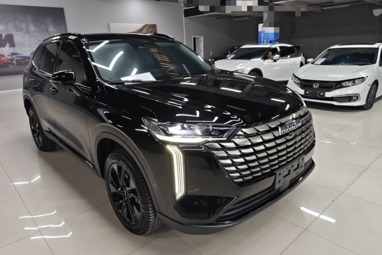 Used Haval H6 2024 1.5T Two-Wheel Drive Max
