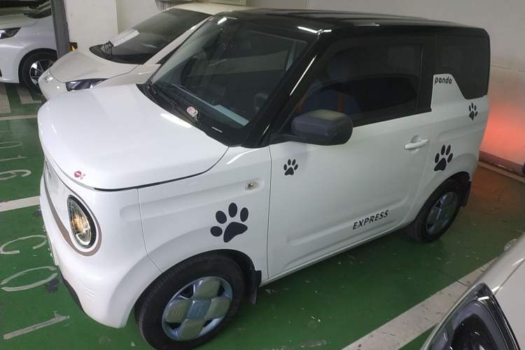 Used  Panda 2023 Panda Mini 200km Endurance Bear
