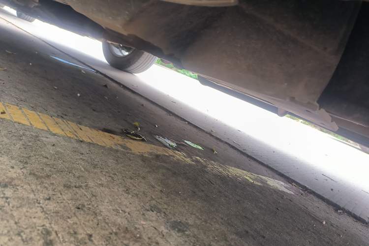 Used Haval H6 2018 Blue Label Sport Edition 1.5T Manual Two-Wheel Drive Elite Model
