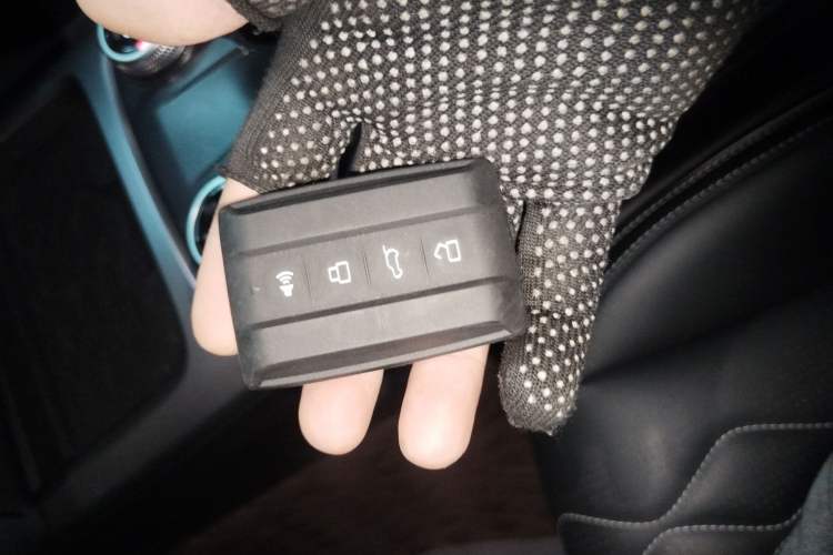 Used Tank 300 2024 2.0T Challenger
