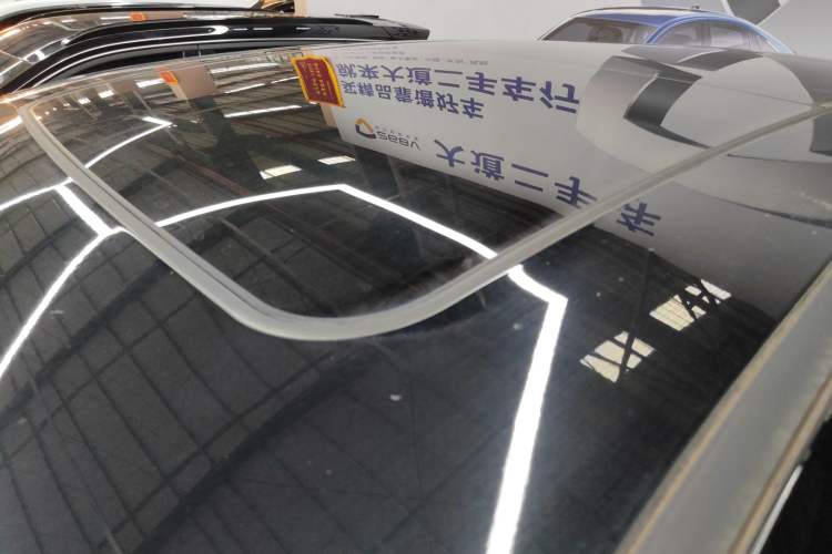 Used  Shanhai L6 2024 1.5TD DHT MAX
