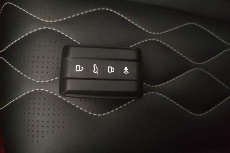 Used Tank 300 2024 2.0T Challenger
