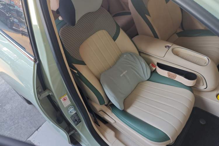 Used ORA Good Cat 2023 401 km Standard Range Luxury Version Lithium Iron Phosphate
