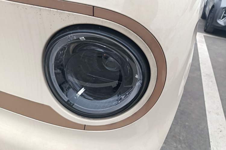 Used  Panda 2023 Panda Mini 200km Endurance Bear
