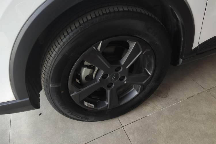 Used Geometry E Firefly 2023 401KM Linglong Tiger 5-Seater