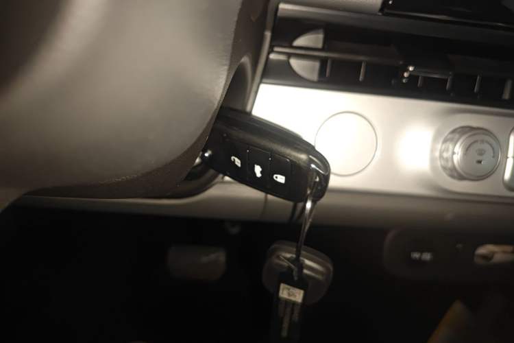 Used  Lumin 2025 205 km Xiangqin Version