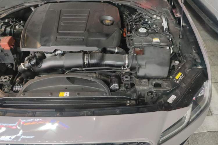 Used Jaguar XFL 2023 XFL 2.0T P250 Two-Wheel-Drive Elite Sport Edition