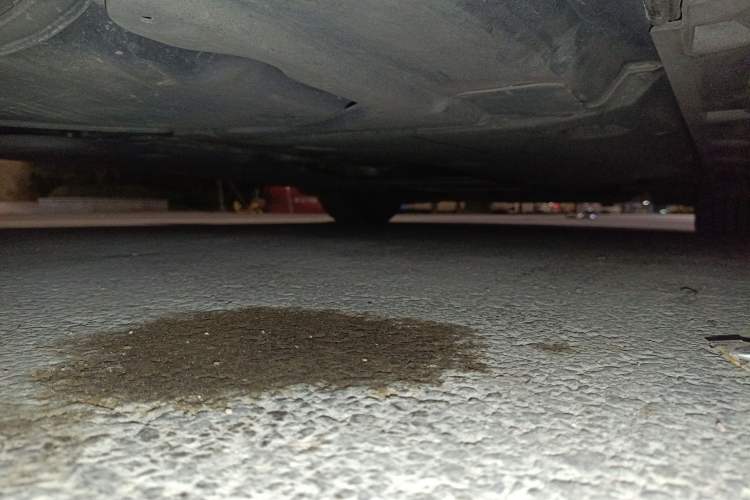 Used Volkswagen Magotan 2017 330TSI DSG Luxury Model
