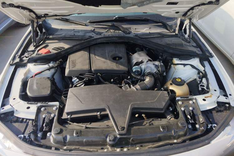 Used BMW 3 Series 2016 316Li Fashion Model
