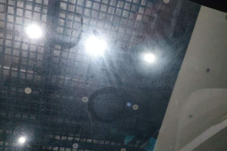 Used Lexus UX 2020 200 Special Edition