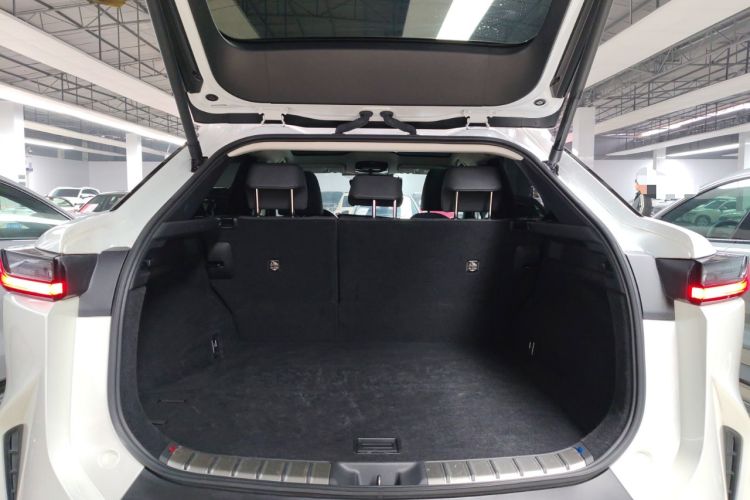 Used Lexus RZ 2023 450e All-Wheel Drive Luxury Edition
