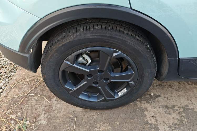 Used Geometry E Firefly 2022 401 km Linglong Tiger 4 Seats
