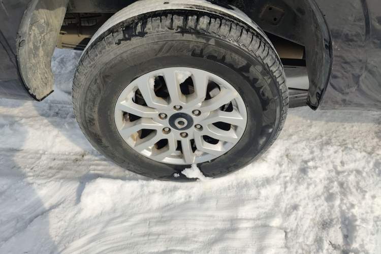 Used Great Wall Poer 2019 2.0T Commercial Version Manual Diesel 4x4 Navigation Type Long Bed GW4D20M
