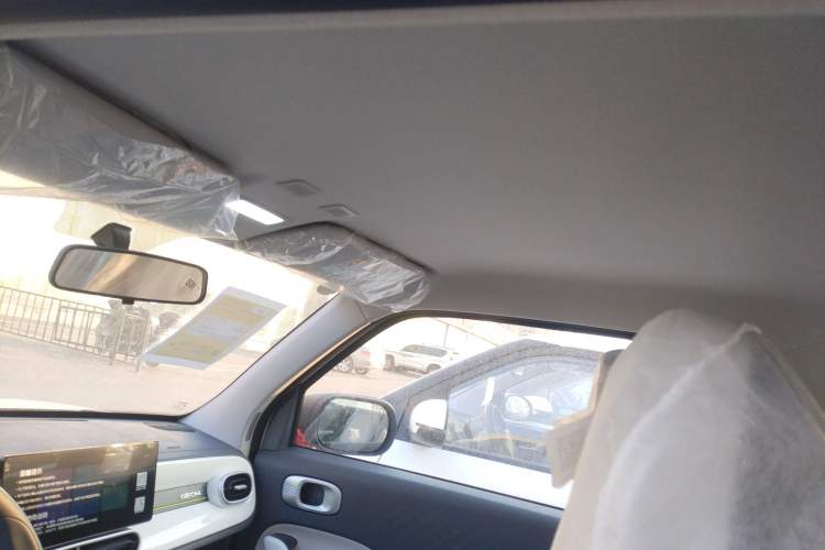 Used  Panda 2025 210 km – Yuanqi Bear
