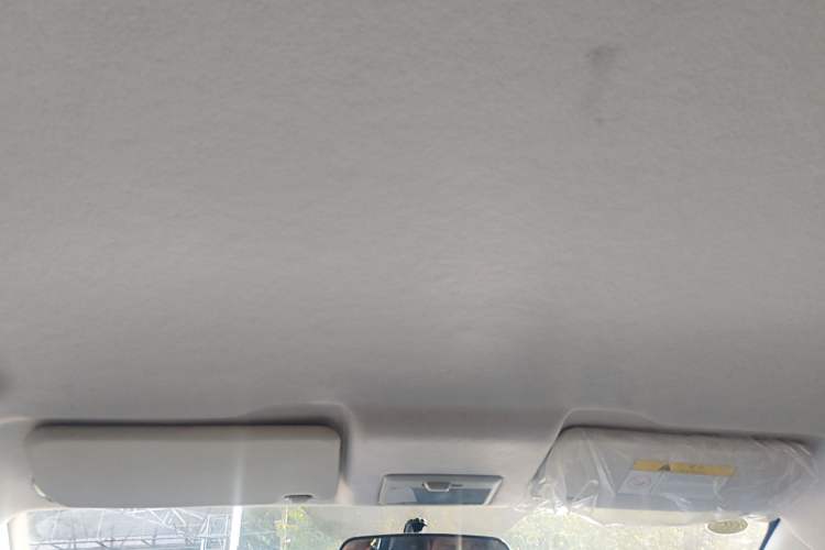 Used Oshan Benni E-Star 2020 Heart Edition Lithium Iron Phosphate (31.95 kWh)
