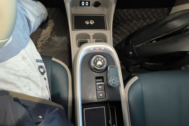 Used ORA Good Cat 2021 400km Standard Range Athena Edition Lithium-Ion Battery