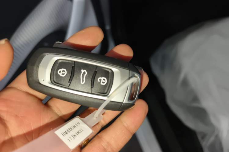 Used  Panda 2025 210 km – Yuanqi Bear
