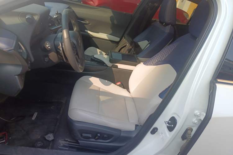 Used Lexus UX New Energy 2020 300e Pure·Joy Edition