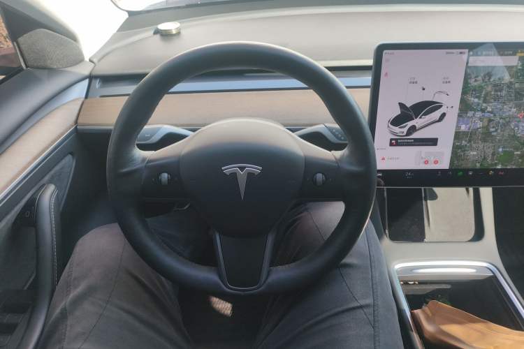 Used Tesla Model 3 2021 Performance High-Performance All-Wheel-Drive Version
