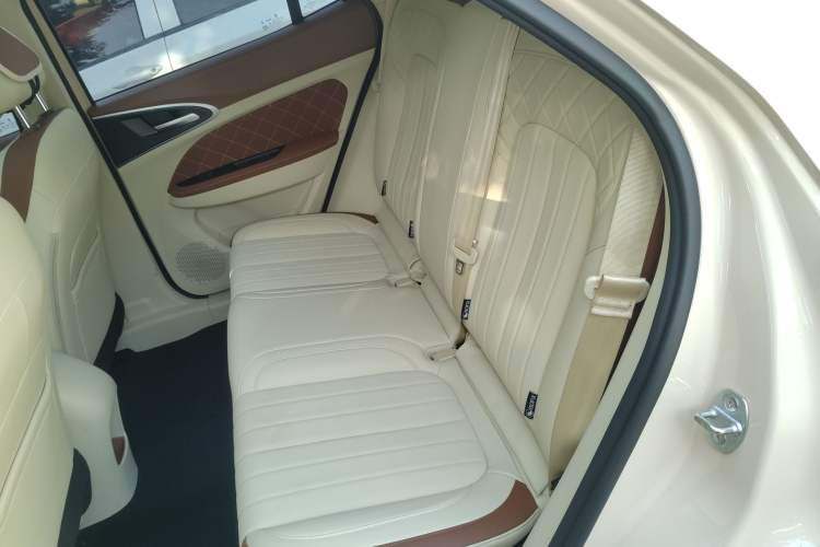 Used ORA Good Cat 2024 401 km Luxury Version
