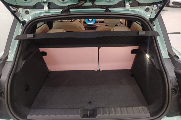 Used  Electric MINI ACEMAN 2024 E Classic Edition
