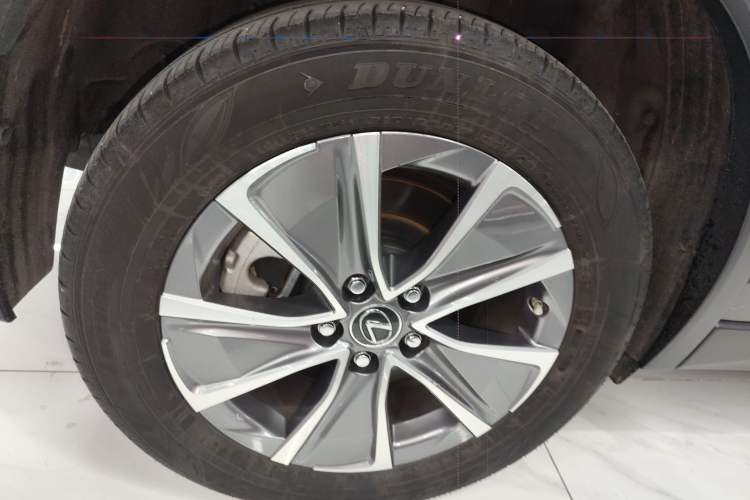 Used Lexus UX New Energy 2020 300e Pure·Joy Edition
