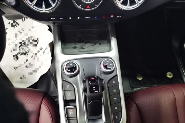 Used Tank 300 2024 2.0T Conqueror