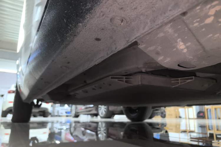 Used ORA Black Cat 2021 301 km Basic Version
