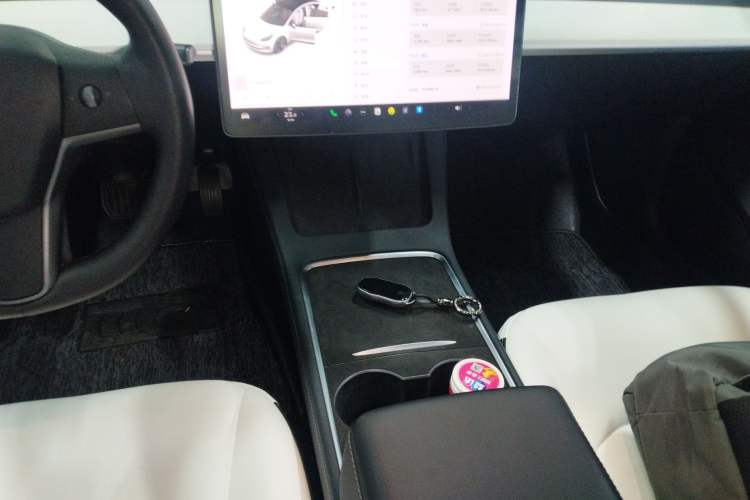 Used Tesla Model 3 2020 Revised Version Standard Range Rear-Wheel Drive – Upgraded Edition
