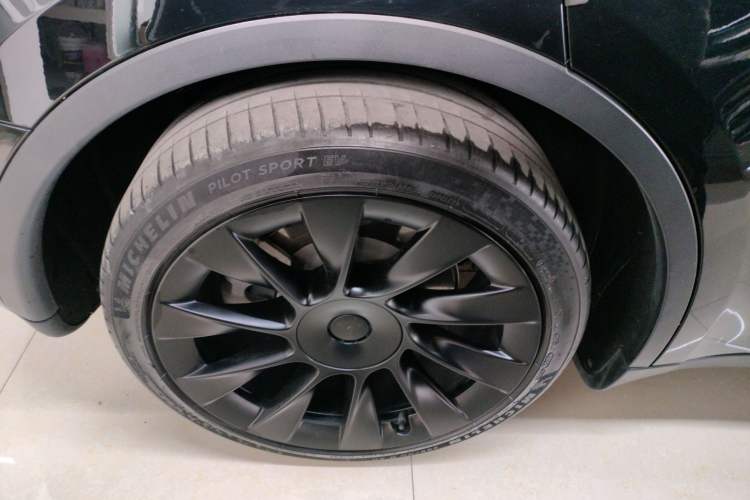 Used Tesla Model Y 2021 Standard Range Rear-Wheel Drive Version
