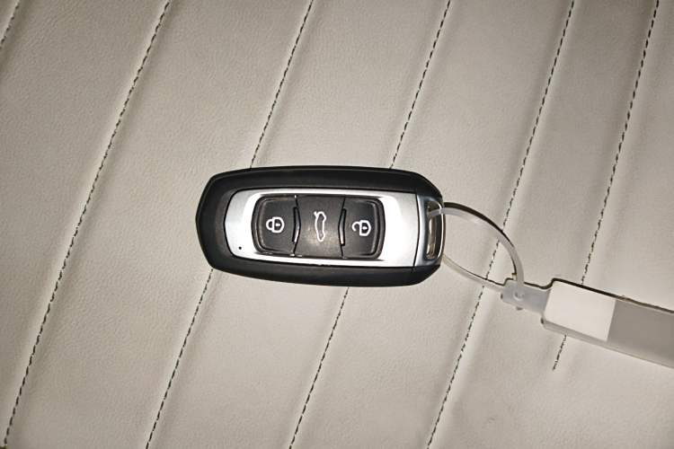 Used  Panda 2025 210km Panda Rider