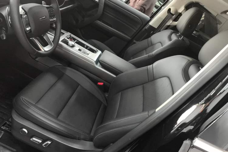 Used Haval DARGO 2024 2.0T DCT Chinese Rural Dog Edition
