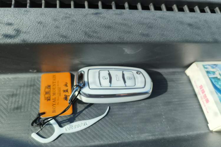 Used  Panda 2024 Panda Mini 200km Endurance Bear
